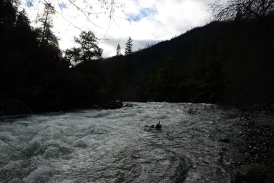 DSC_0904 (Large).JPG